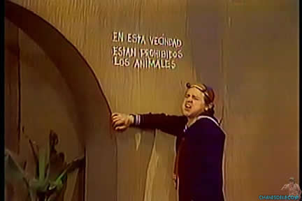 Animais Proibidos